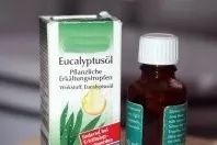 Eukalyptusöl gegen Gerüche auf der Toilette