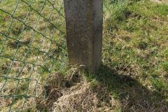 Hundeschreck Rutschigen Boden vermeiden Frag Mutti