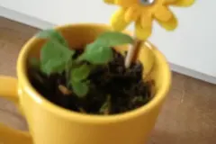 Blumentopf Verzierung