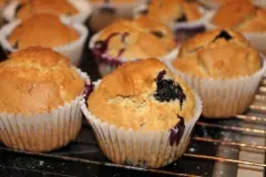 Erdnussbutter-Blaubeer-Muffins - Peanut Butter Blueberry Muffins