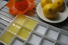 Zitronensaft einfrieren