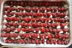 Himbeeren einfrieren