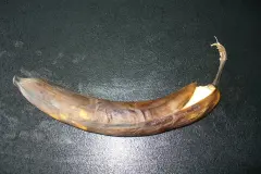 Frisch gekaufte Bananen im Kühlschrank haltbar machen