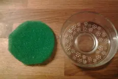 Chia-Samen keimen lassen