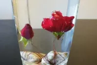 Tischdeko mit Unterwasserrose