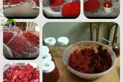 Chilipaste selber machen