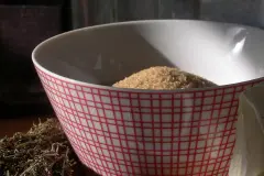 Thymian - Gewürz und Heilkraut