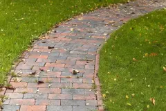 Herbstlaub mit Industriestaubsauger wegsaugen