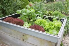 Alte Badewanne als Hochbeet oder Kleinstgarten Frag Mutti