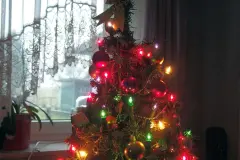 Christbaum weiterverwenden