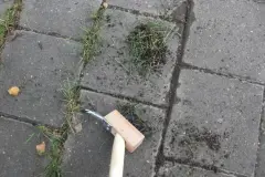 Unkraut bequem und rein mechanisch entfernen