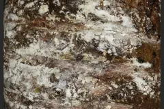 Herzhaftes Gourmetbrot (glutenfrei und laktosefrei)