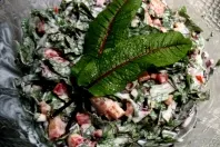 Blut-Sauerampfer-Salat – frisch und fruchtig