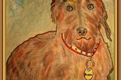 Kokos&ouml;l pure Gesundheit f&uuml;r Mensch und Tier