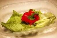 Plastikschalen von Tomaten oder Champignons weiterverwenden