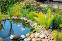 Grünes Wasser und Algen im Gartenteich Frag Mutti