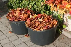 Gratis Plastikkübel für den Garten