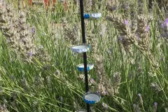 Insektentränke mit Landemöglichkeit bauen