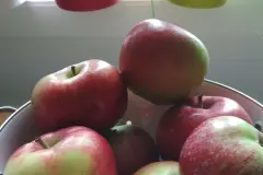 &Auml;pfel f&uuml;r Allergiker