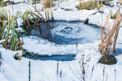 Gartenteich reinigen bitte Teichlebewesen berücksichtigen