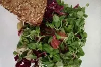 Feldsalat mit Putensalami, Artischocken, Grillpaprika und Rotkraut