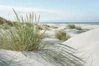Amrum: Die Perle der Nordsee mit kilometerlangem Strand #ReiseMontag