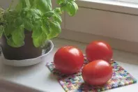 Tomaten aus dem Supermarkt: Nach 1 Woche superlecker
