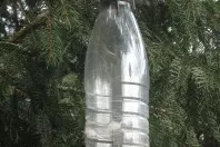 DIY-Futterstelle für Gartenvögel aus einer Einwegflasche
