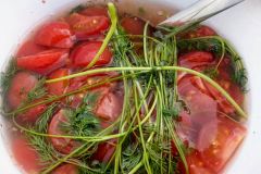 Eingelegte Tomaten mit Dill & Knoblauch