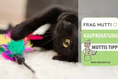 Katzenspielzeug Test & Vergleich: 6 günstige Empfehlungen