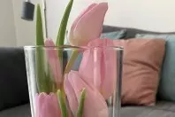 Tulpen kreativ in der Vase arrangieren