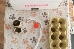 Fummelbrett für Katzen selber machen