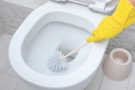 Toilette reinigen mit Gebissreiniger