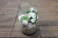 Mini-Steingarten im Glas