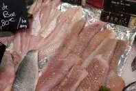 Frischen Fisch beim Einkauf erkennen