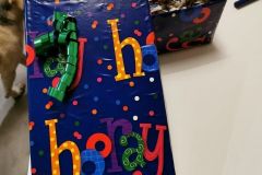 Meine Mehrweg-Geschenkverpackungen