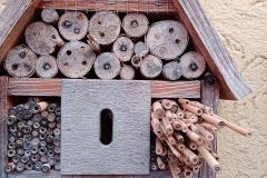 Nisthilfe f&uuml;r Wildbienen - schnell selbst gemacht