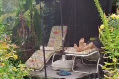 Mückenfrei im Garten chillen mit Moskitonetz