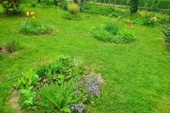Blumeninseln im Garten anlegen – so belebst du triste Rasenflächen