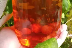 Himbeeressig selbst machen