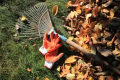 Gartenarbeit im Herbst – was ist zu tun?