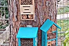 Insektenhotel streichen & Röhren erneuern – DIY