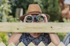 Sichtschutz zum Nachbarn – was ist erlaubt?