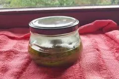 Brennnnessel-Pesto selber machen