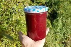 Schlehenmarmelade