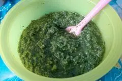 Möhrengrün-Pesto mit Haselnüssen