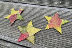 Sterne mit Herbstlaub basteln – DIY Anleitung