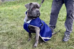 Hoffnung für Tierheimtiere: Gewinne eine Patenschaft