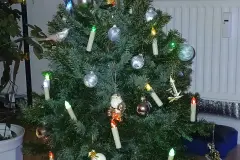 Weihnachtsbaum wiederverwenden