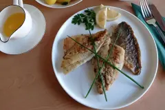 Gebratene Doradenfilets mit Gurkensalat